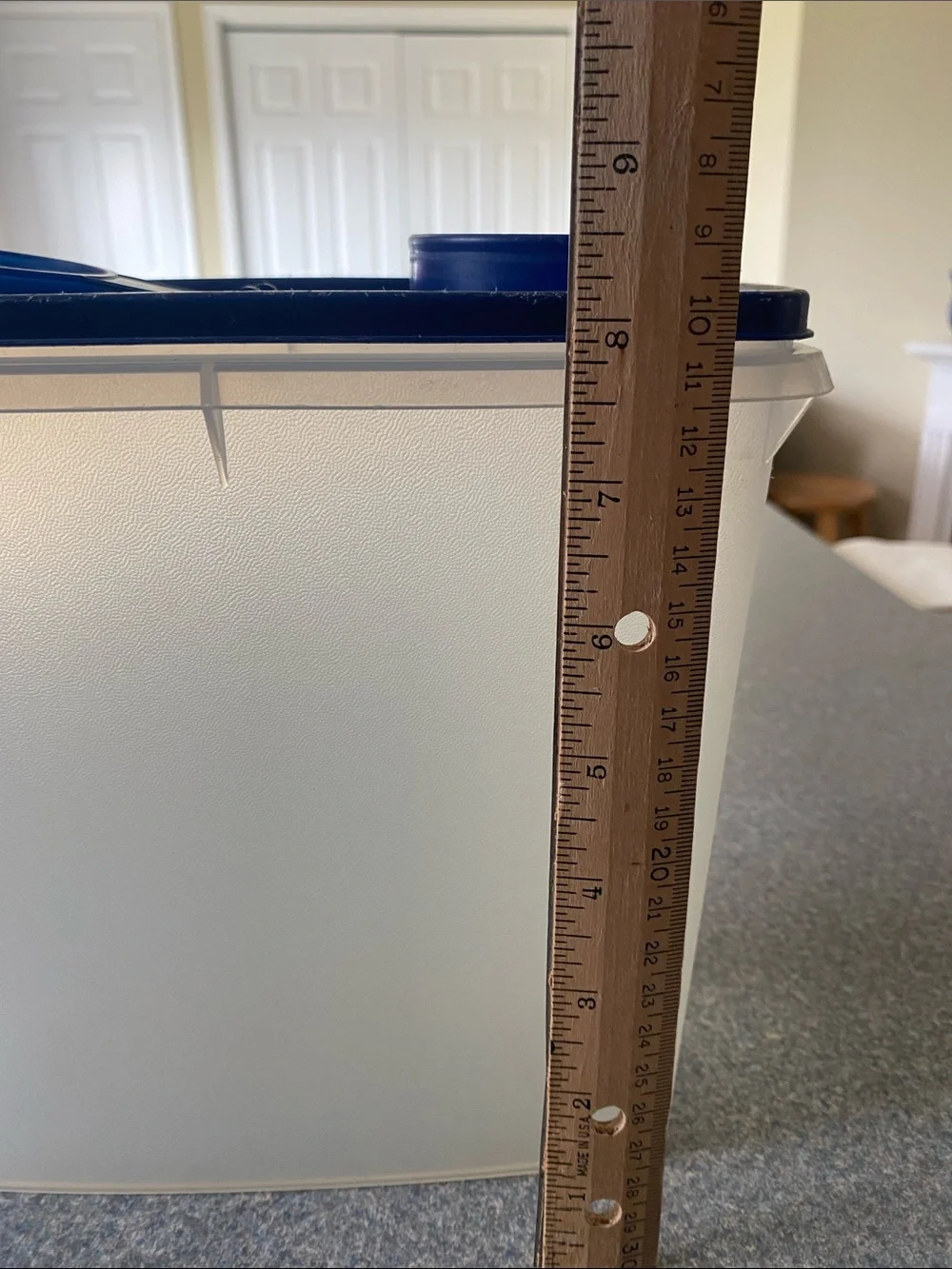 Tupperware White Translucent Container with Blue Lid